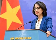 Vietnam asks parties to respect its sovereignty over Truong Sa